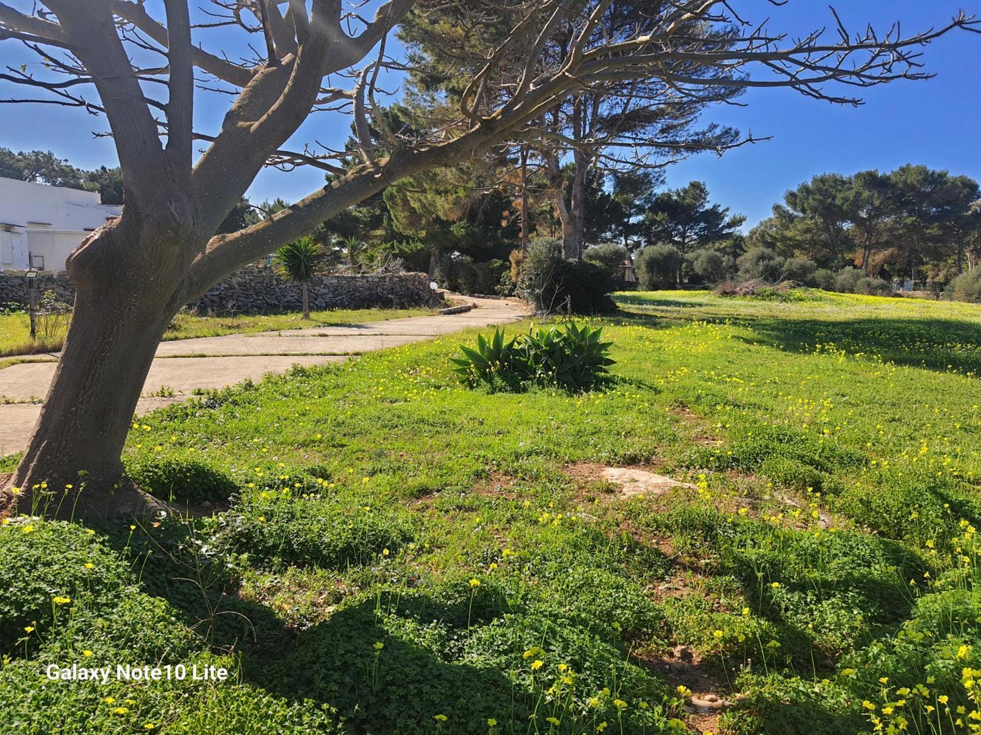 Sogni Nel Blu Favignana Villa Kültér fotó